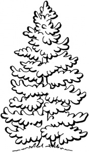 coloring-pages-of-trees2