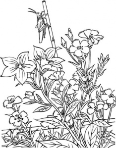 grasshopper-in-garden-coloring-page